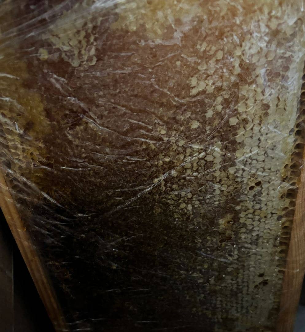 Beesweet - Wholesale Honey - Whole picture of pure honey bean8