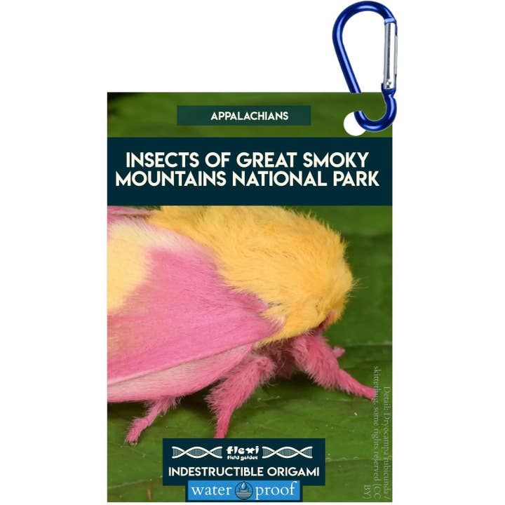 Insects of Great Smoky Mountains NP-Indestructible Origami for wholesale by Flexi Field Guides