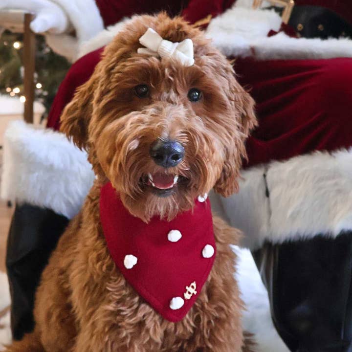 The Deluxe Pup – wholesale Pet bandana – Dog – CHRISTMAS DOG BANDANA | HOLIDAY CHEER