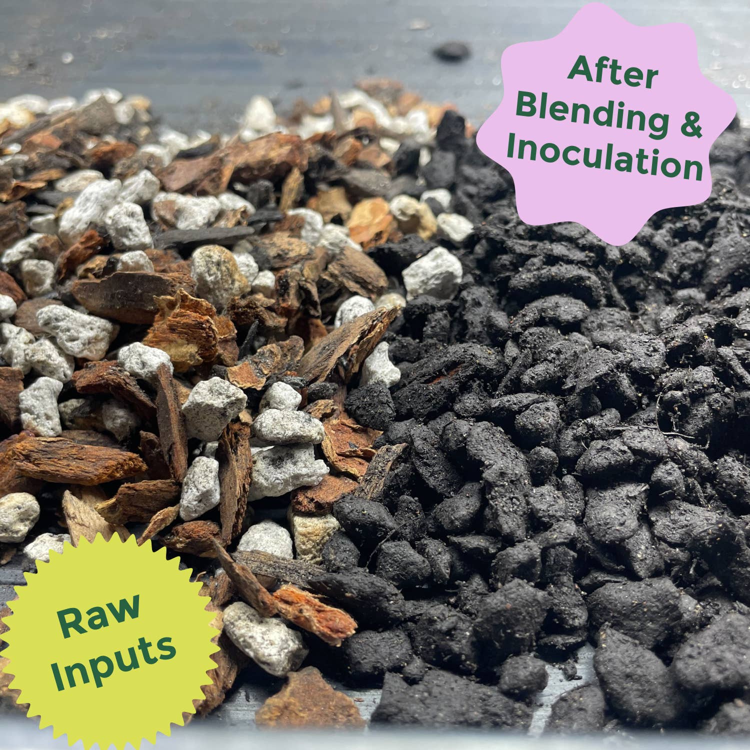 Rosy Soil - Vente Terreau de plantation/rempotage - Mélange biologique pour cactus et plantes succulentes, 4 pintes4