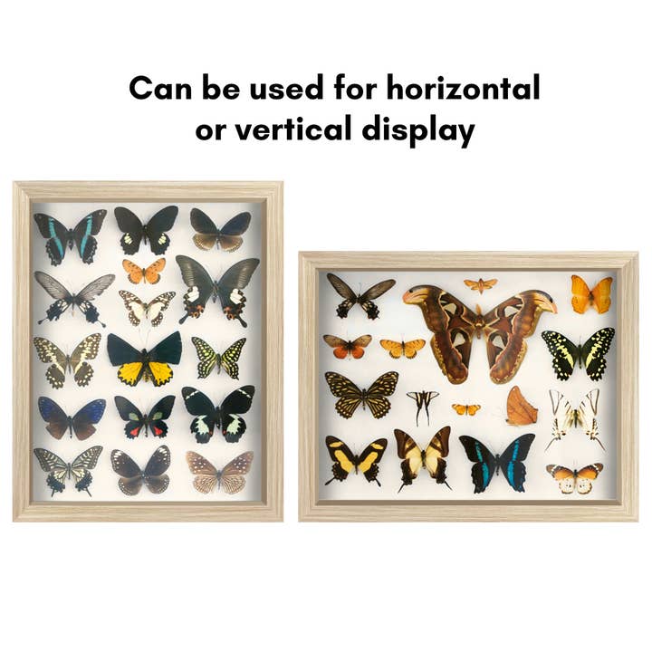 Americanflat - Wholesale Picture Frame - Americanflat Shadow Box Frame with Soft Felt Back18