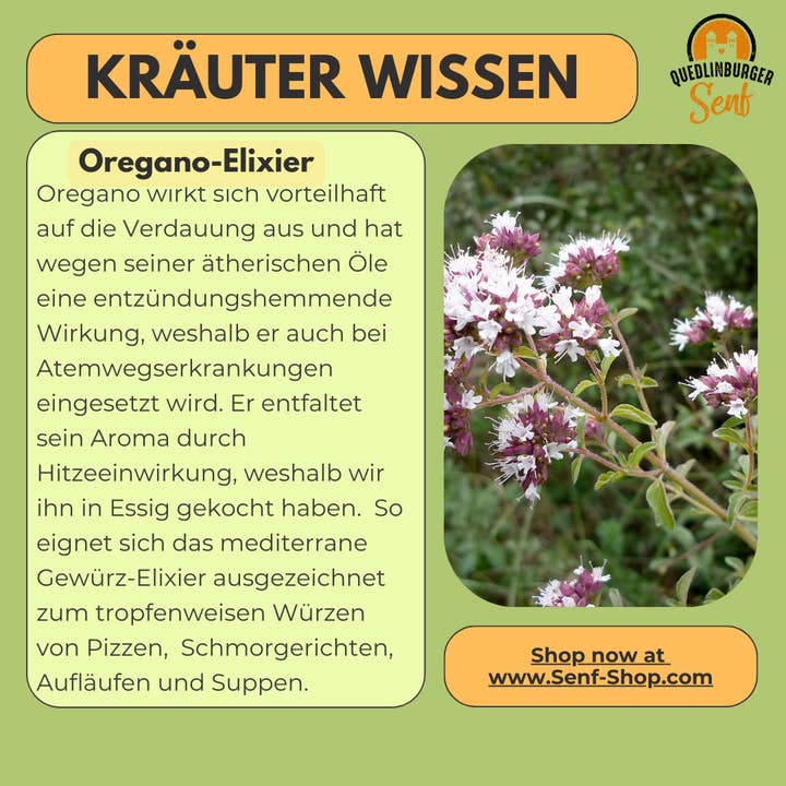 Elixir de Orégãos por atacado de Quedlinburger Senf