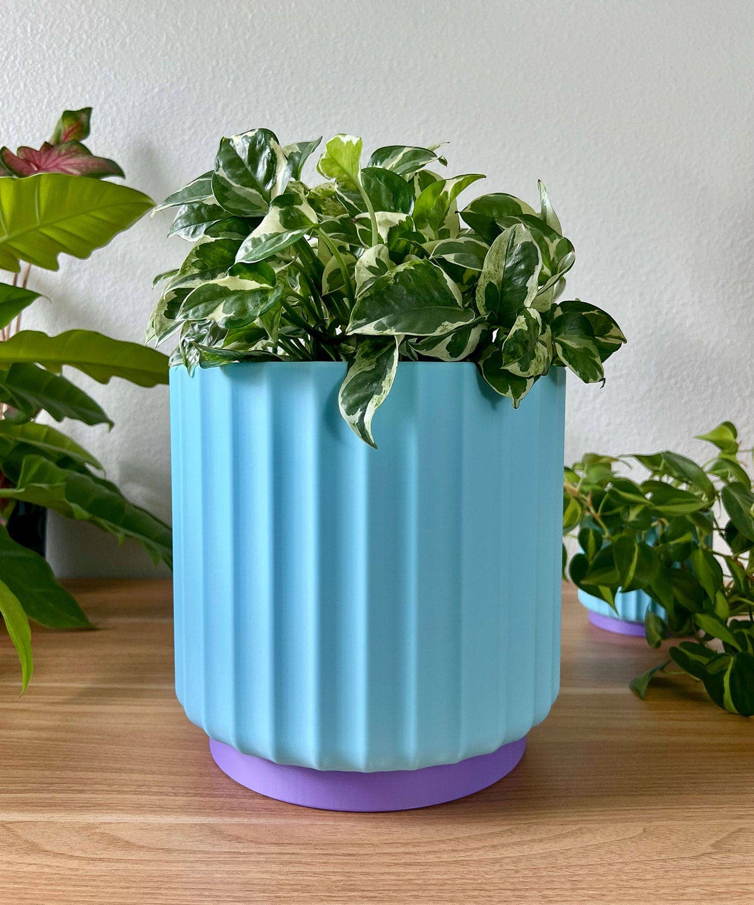 Daisy Wood Design - Wholesale Plant Pot - Bold Color Pop 8" Planters – Colorful Dreamhouse Singles1