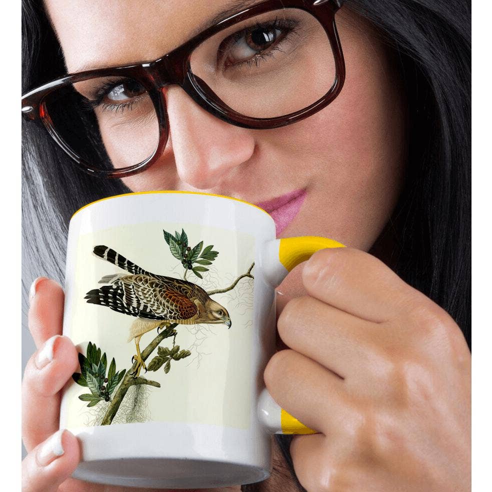 3dRose - Wholesale Coffee Mug - 3dRose, Red-shoulder Hawk Birds of Prey Audubon America Vintage Art Print, Mug1