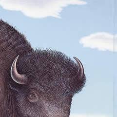 Frame of Mind - Wholesale Art Print - No Room to Roam - AP1