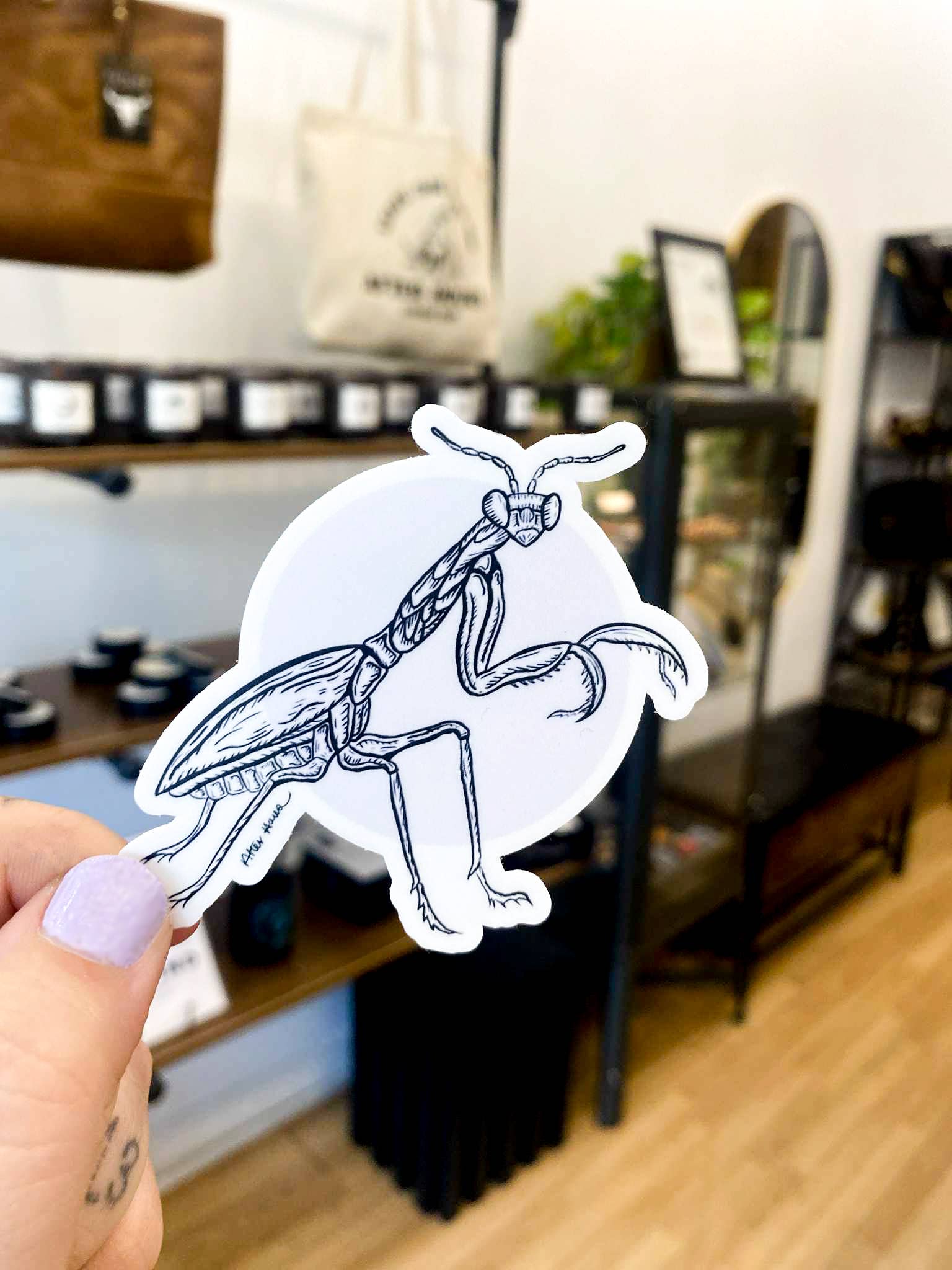 After Hours Creative - Venta al por mayor Pegatina - Pegatina Mantis Rezando1