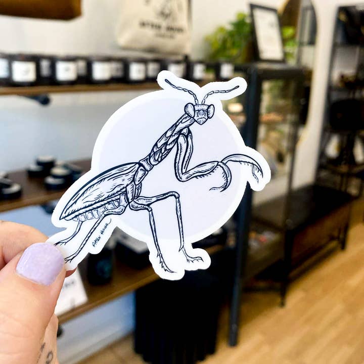 After Hours Creative - Venta al por mayor Pegatina - Pegatina Mantis Rezando1