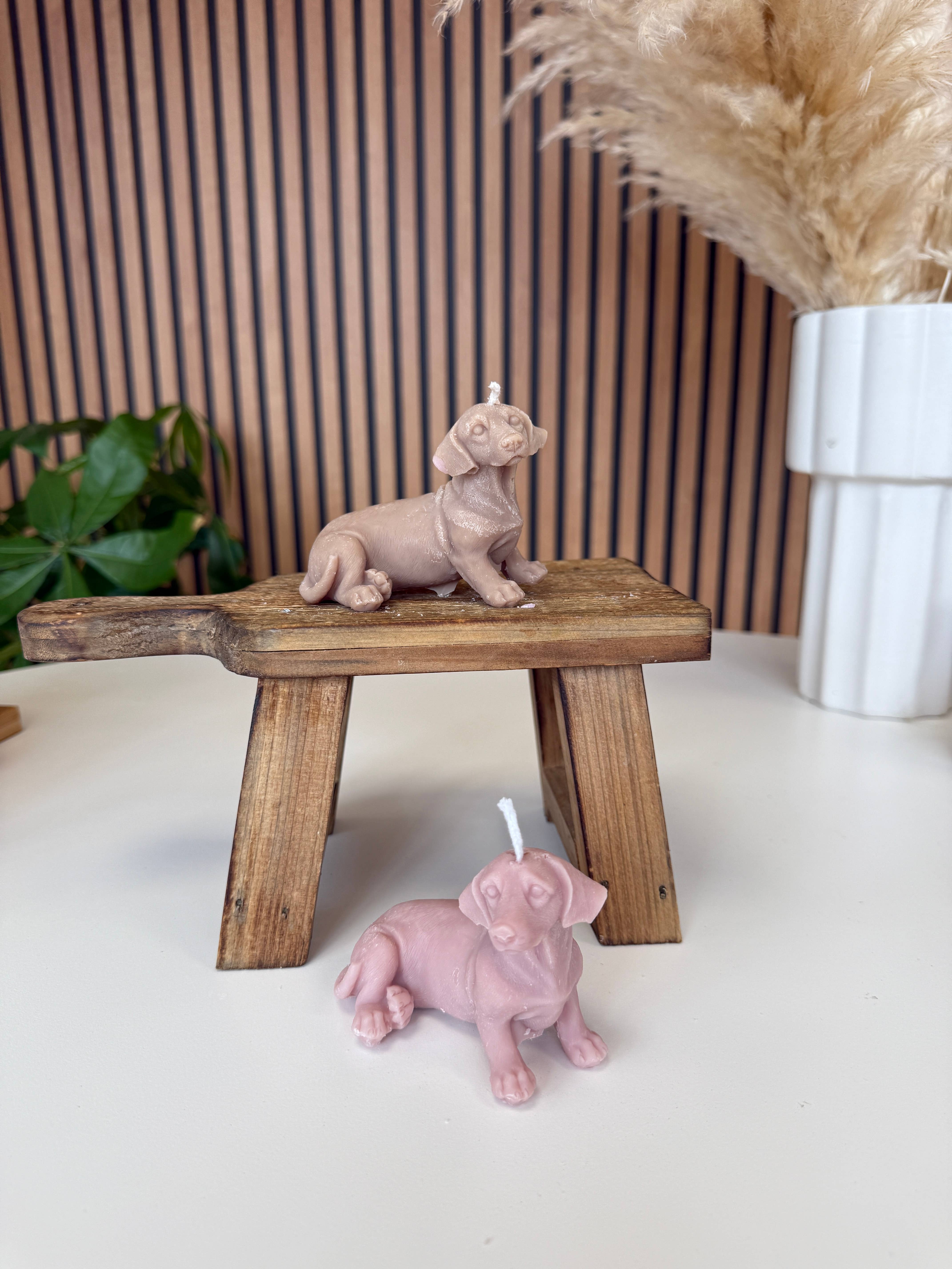 Ritual Spirit ltd - Vendita all'ingrosso Candele regalo - Collezione Dog Candle | Candele in cera di soia naturale | Amanti dei cani1