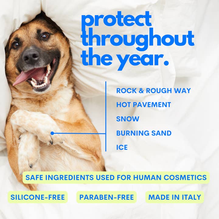 JAMPY - Wholesale Pet paw protection - Dream Cream - Dog Nourishing Hydrating Multipurpose 97% Natural3