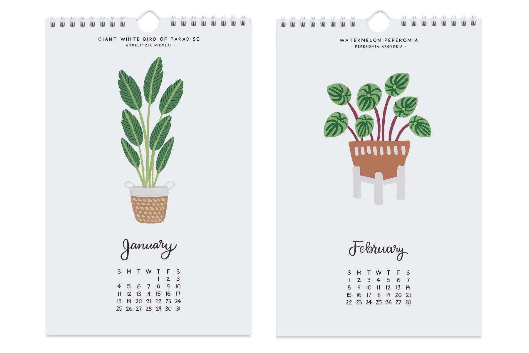 LoveLight Paper - Wholesale Calendar - House Plants - Mini Calendar 20261