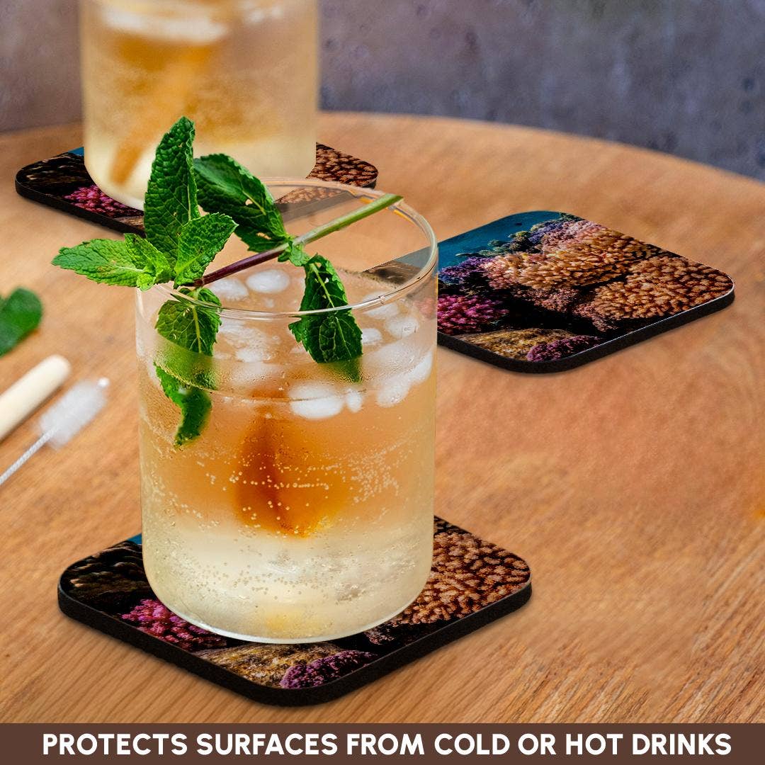 3dRose - Wholesale Coasters - 3dRose, French Polynesia, Bora Bora. Closeup coral garden., Coaster9