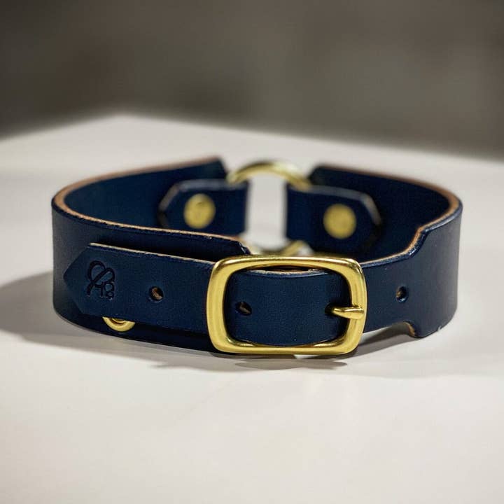 El collar K9 - XS para venta al por mayor de Ampersand Leather Co.