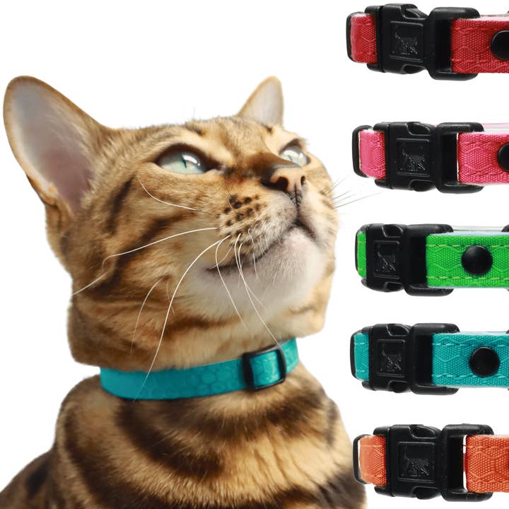Outdoor Bengal - Wholesale Pet Collar - Cat - Durable Break-Away Cat Collar6