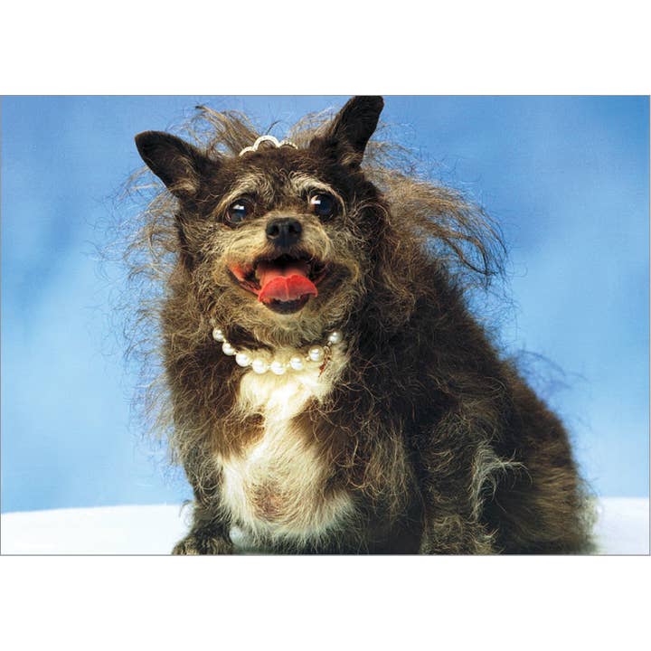 Lady Dog for wholesale by Retrospect Greeting Cards