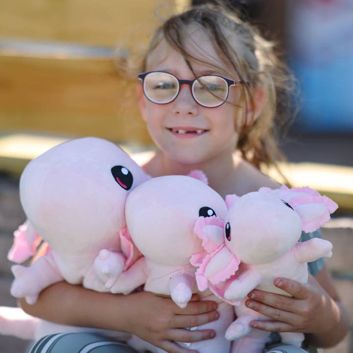 Axol & Friends - Wholesale Stuffed/Plush Toy - Kids & Baby - Mini Realistic Axolotl Plush6