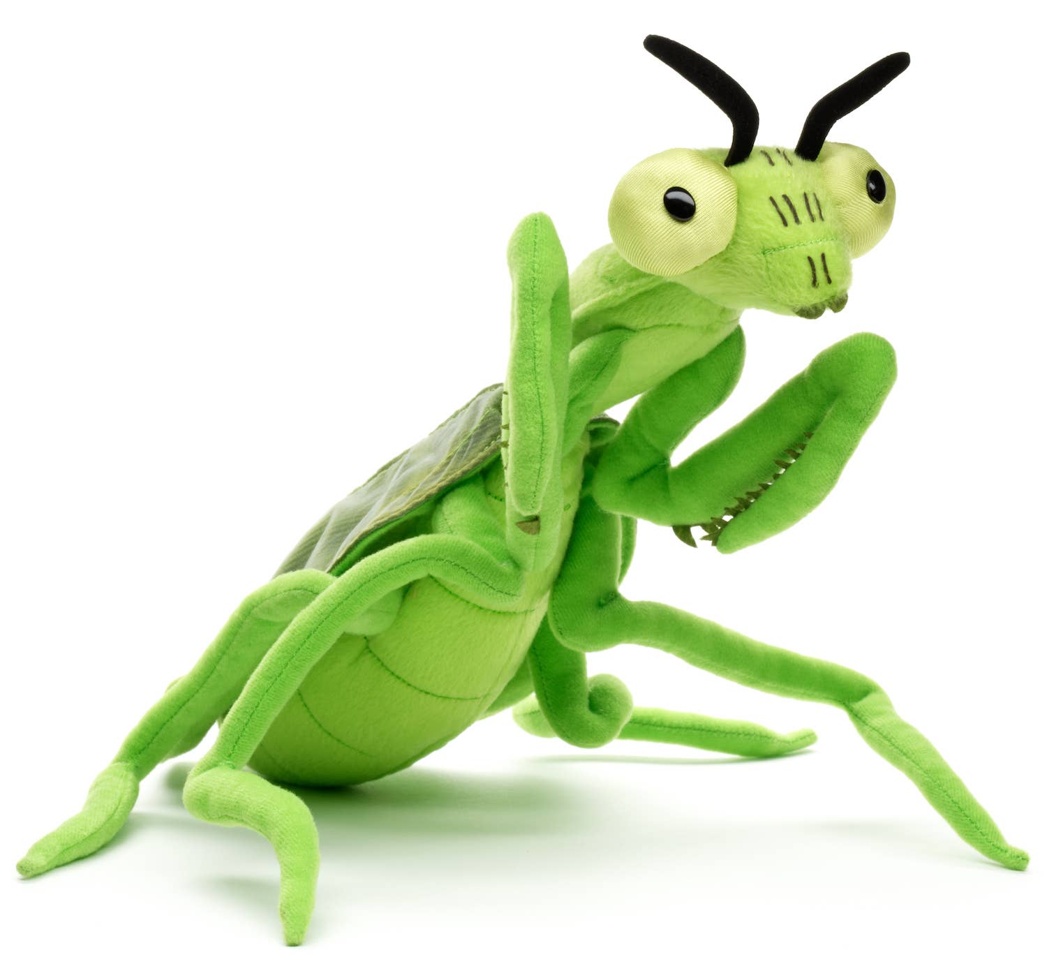 Uni Toys - Wholesale Stuffed/Plush Toy - Kids & Baby - Praying mantis - 34 cm (length) - cuddly/plush toy4