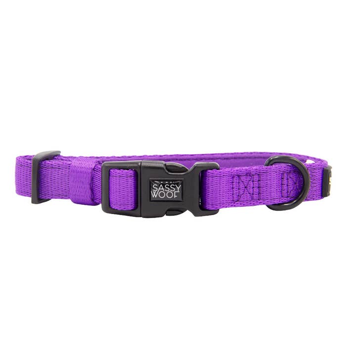 SASSY WOOF - Wholesale Pet Collar - Dog - Dog Collar - Neon Purple