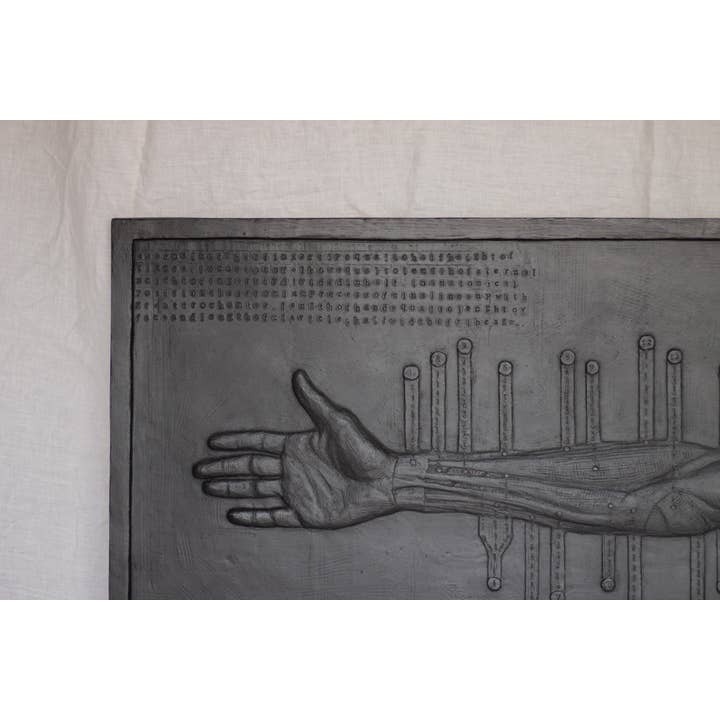 dellsculpture - Wholesale Sculpture - ANATOMICAL ARM5