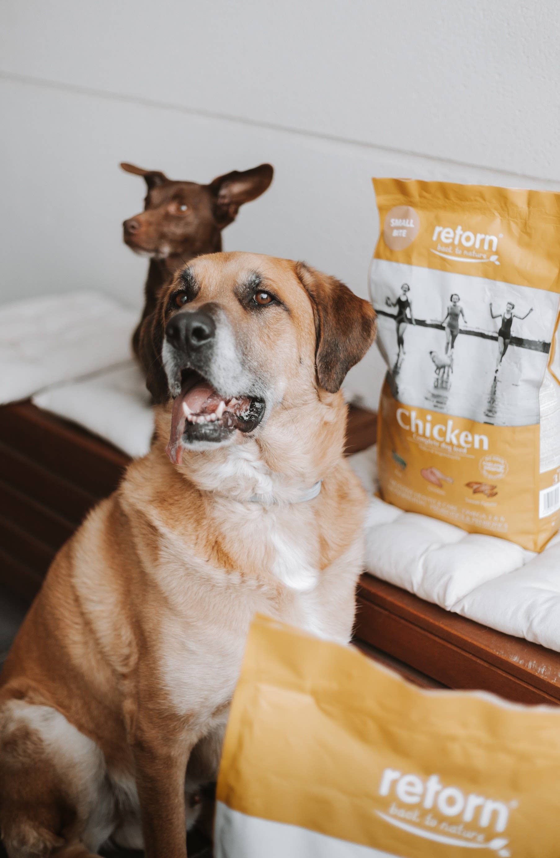 POCURULL SL (Retorn) - Venta al por mayor Comida - Perros - Pienso Natural Para Perros De Pollo Croqueta Regular2