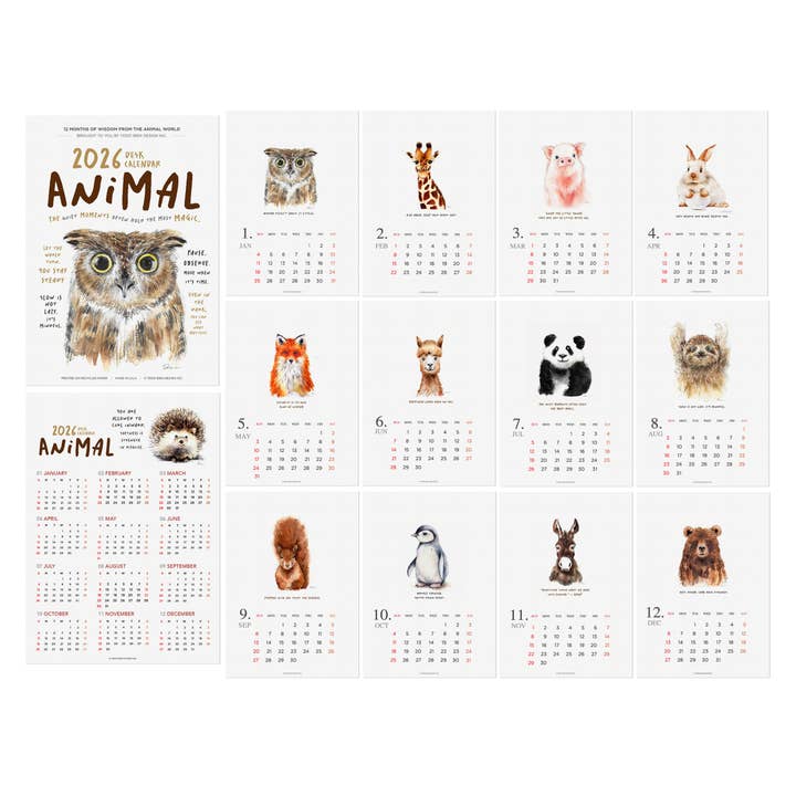 Todo Bien Design Inc - Wholesale Calendar - 2026 Animal Desk Calendar – Monthly Calendar with U-stand5
