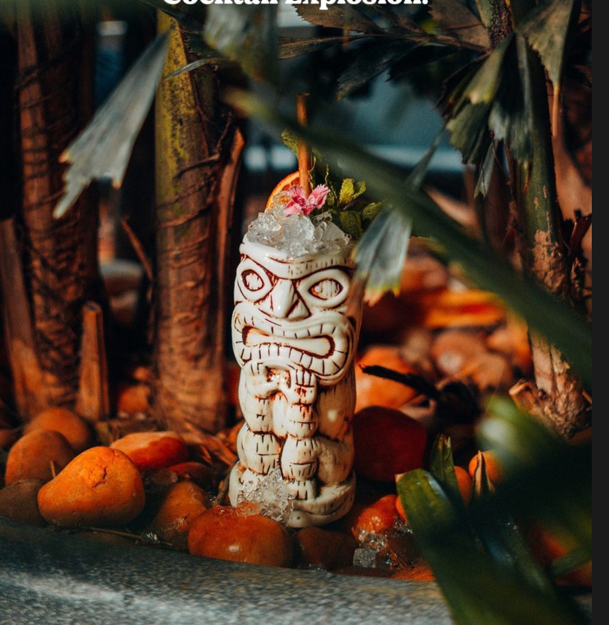 Chaya - Vente Paille - Pailles à cocktail en forme de feuille de coco [paquet de 500] 3