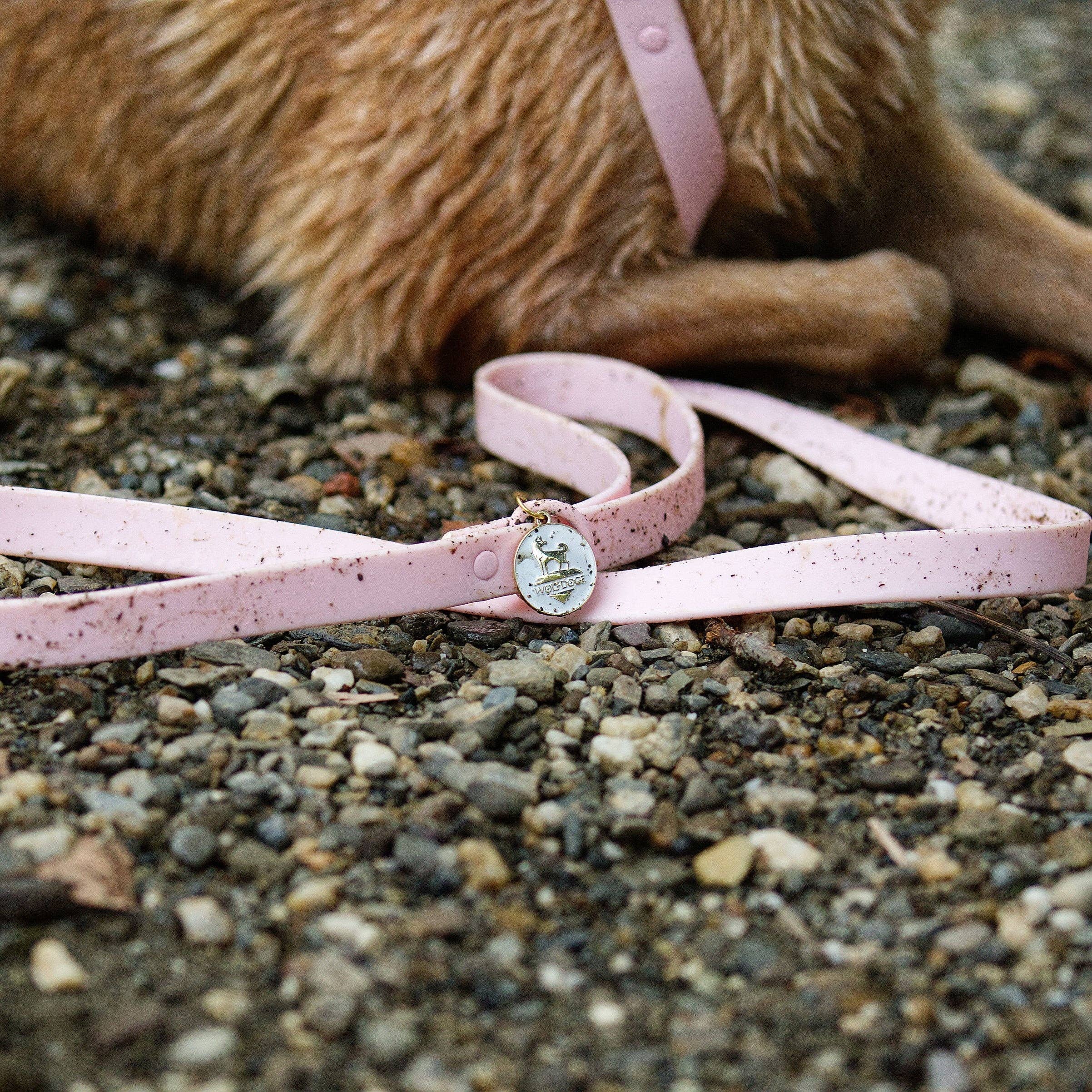 Wolfdoge - Wholesale Pet Leash - Dog - Waterproof Leash10