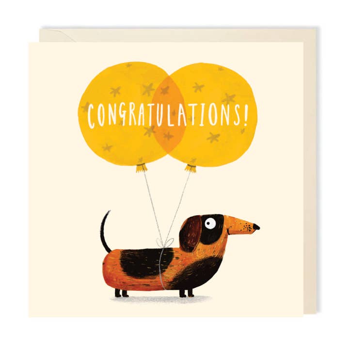 Congratulations Dachshund Dog Greeting Card | Cute Dog Card for wholesale by Charley Rabbit Cards