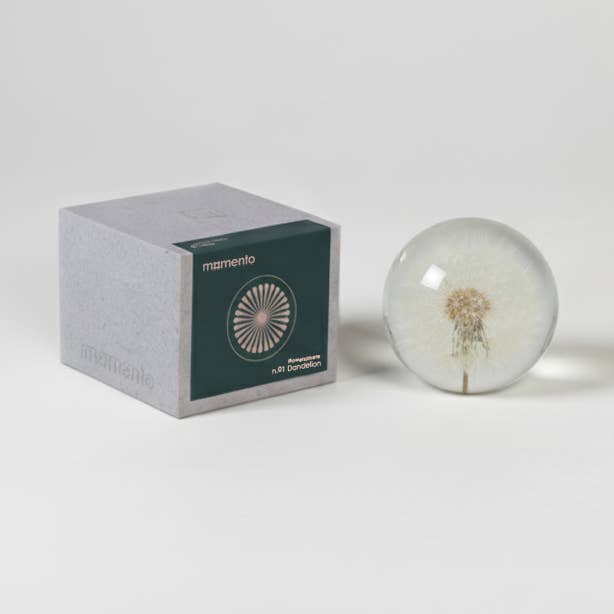 ¡NUEVO! ESFERA DE FLORES MOMENTO - Diente de león - Sé Ligero para venta al por mayor de L10 Brand EU