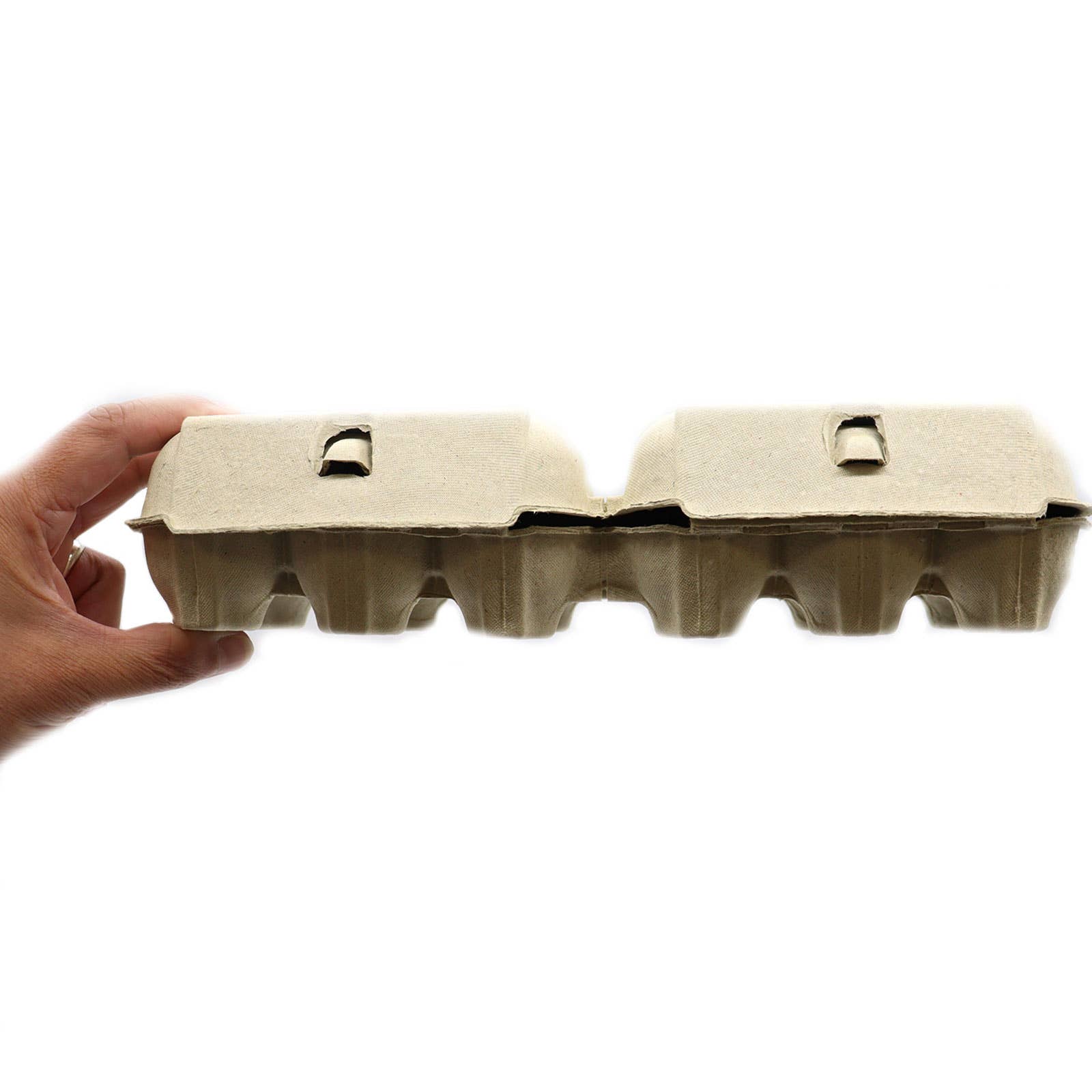 Ancient Wisdom – wholesale Bath bomb/fizz – Half Dozen Egg Box - For Gift Packs (empty)3