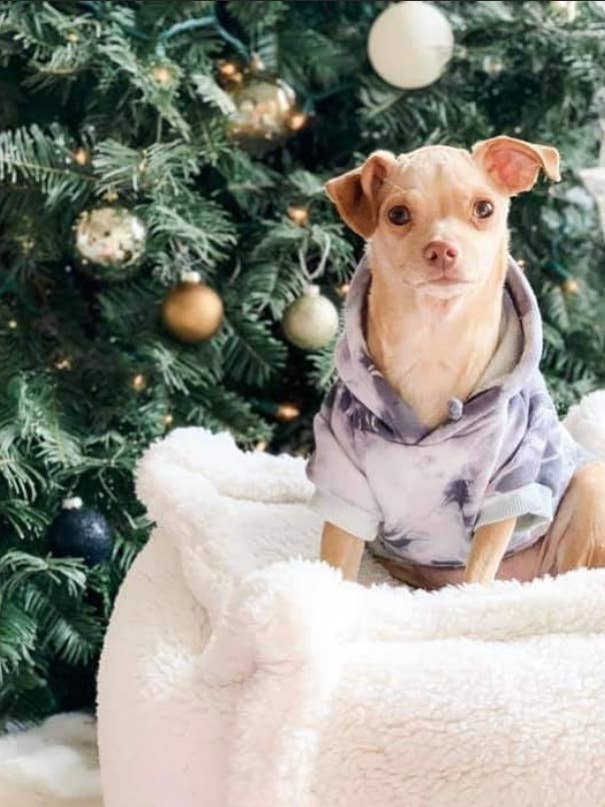 Dog Pet Sweater Boutique Tie Dye Hoodie Grey and White for wholesale by Shanna's Tie Dye