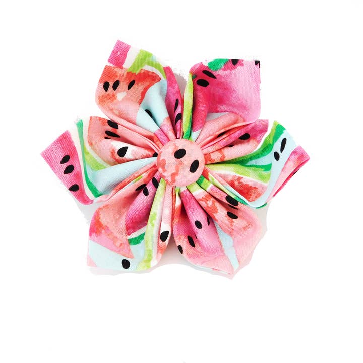 Charlotte's Pet – wholesale Fluga - Katt – Vattenmelon katt fluga och krage blomma