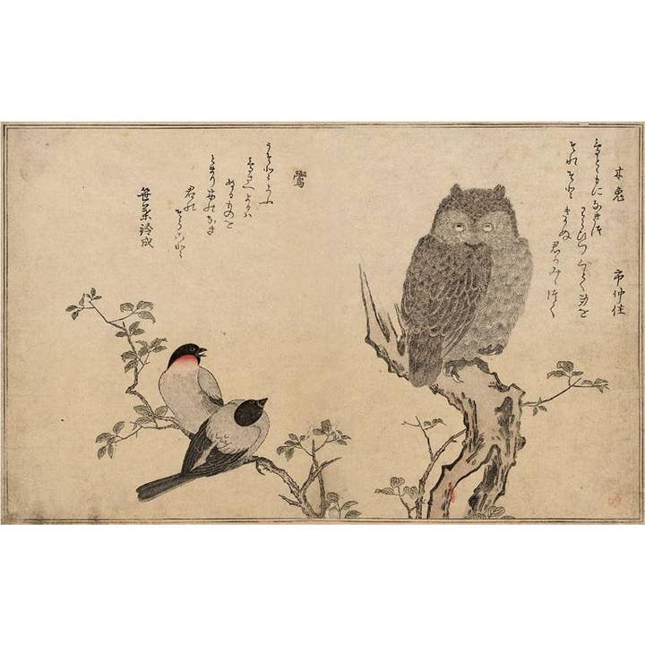 Postcard BD-300 Japanese Owl with Birds for wholesale by Found Image Press