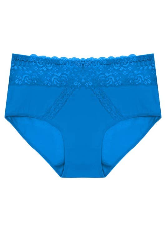 Assorted Color Dual Lace Panels Solid Full Brief-YM-70091-PTY-C04 for wholesale on Faire4