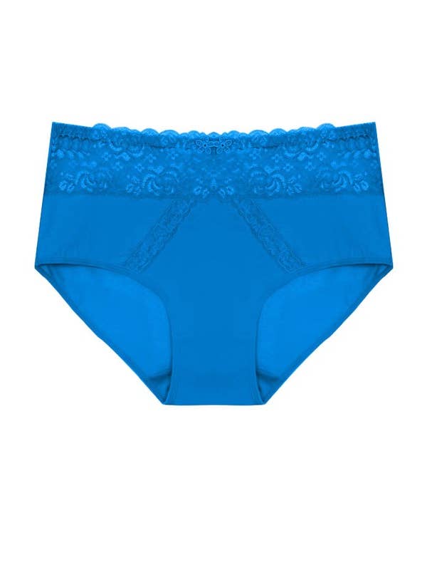 Assorted Color Dual Lace Panels Solid Full Brief-YM-70091-PTY-C04 for wholesale on Faire4