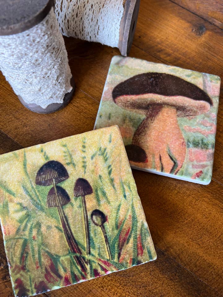 The Painted Lily - Wholesale Coasters - Mushrooms stone coasters - case of 43