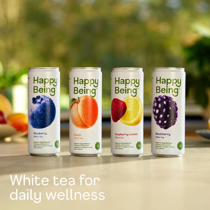 Happy Being - Wholesale Iced Tea - 16 pack Still Variety 1