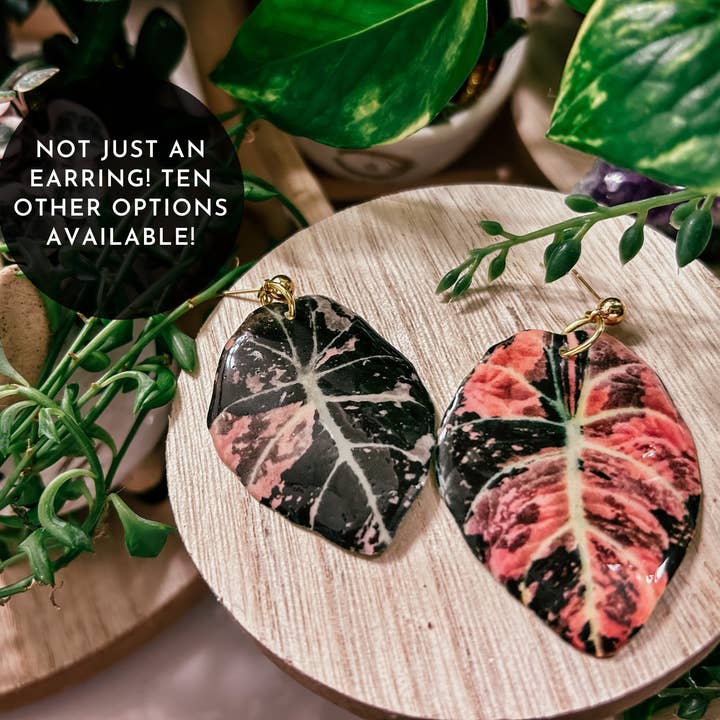 Pink Alocasia Plante Blad Ørering, Magnet, Pin, Indretning for engroshandel hos hethr