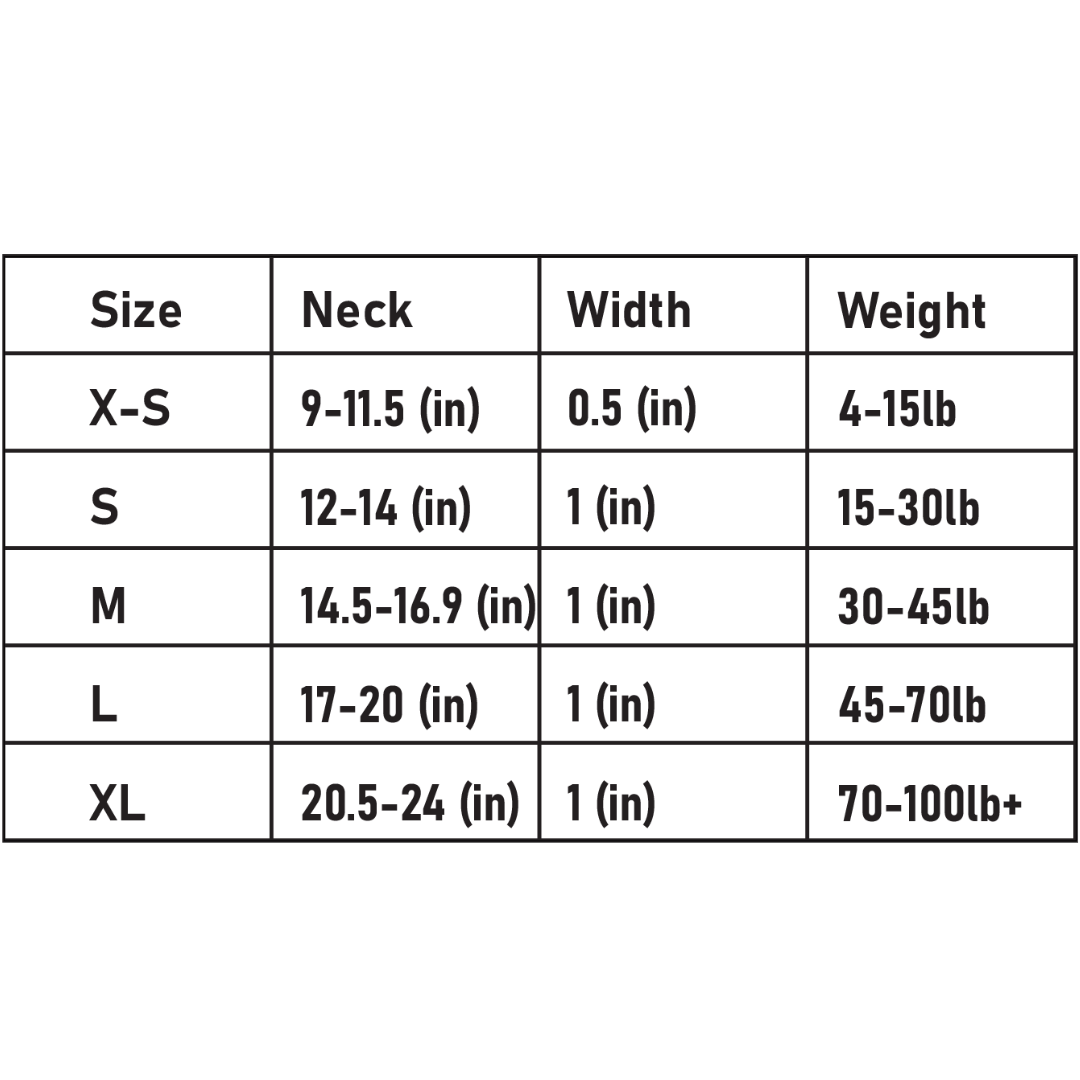 Puppy LED - Vendita all'ingrosso Collare - Cani - Collare per cani LED ricaricabile USB ad alta visibilità10