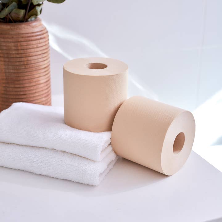 HeyBamboo - Wholesale Toilet Paper - Bleach-Free Bamboo Toilet Paper, 9 Pack