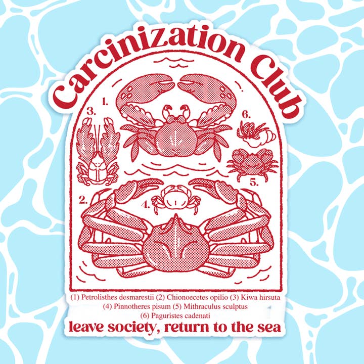 Carcinization Club Sticker for wholesale by Fiveboos Inc
