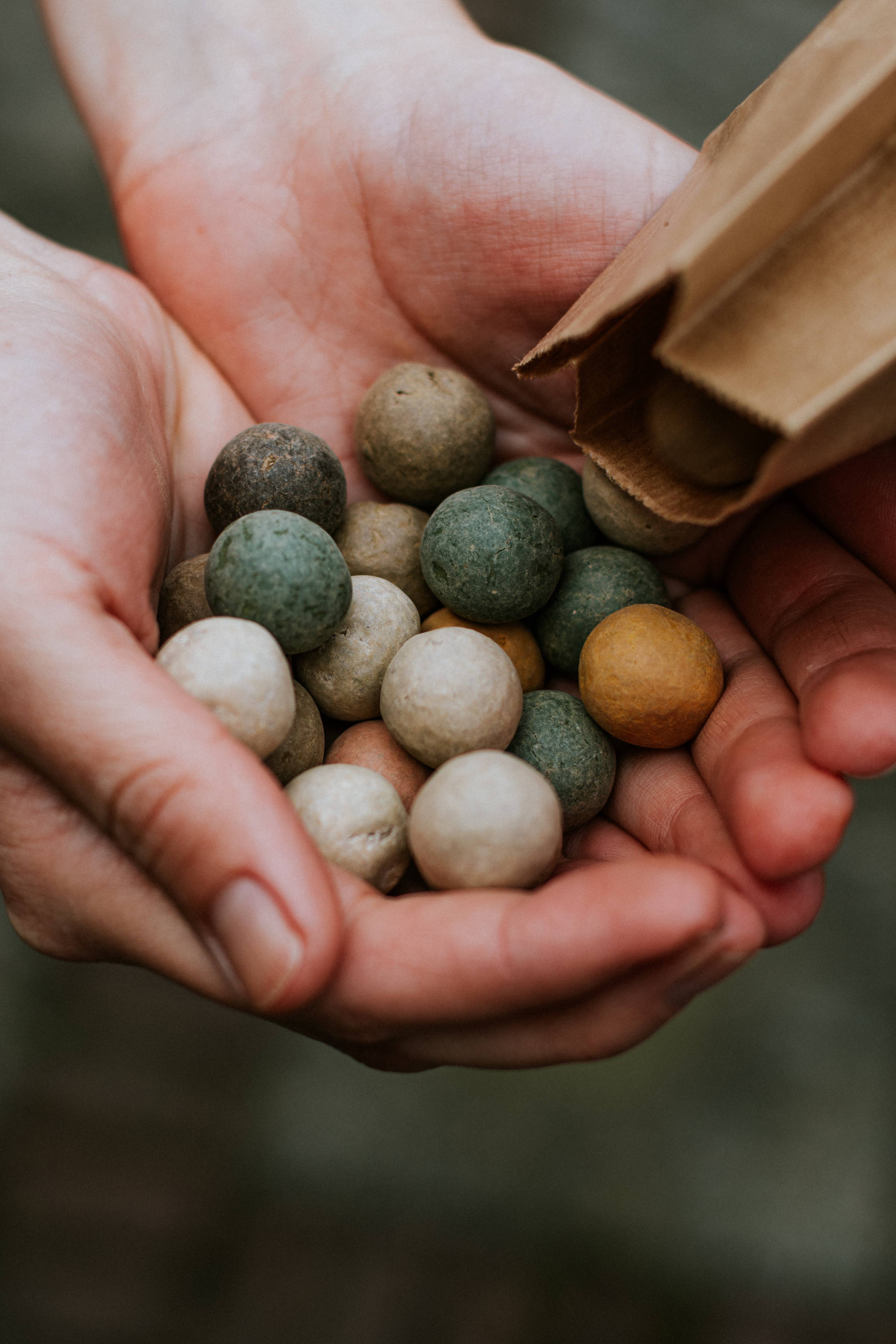 Blossombs - Wholesale Plant Seeds - Mini Gift Box – Blossombs for the Best Mum – 4 Seed Bombs4