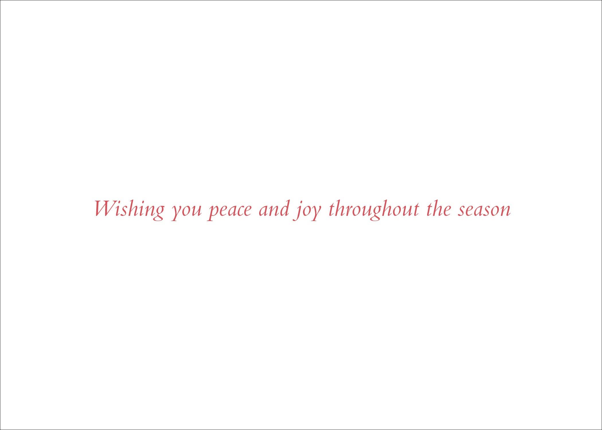 Peter Pauper Press - Wholesale Season's Greetings Card - Wings of Joy Deluxe Boxed Holiday Cards1