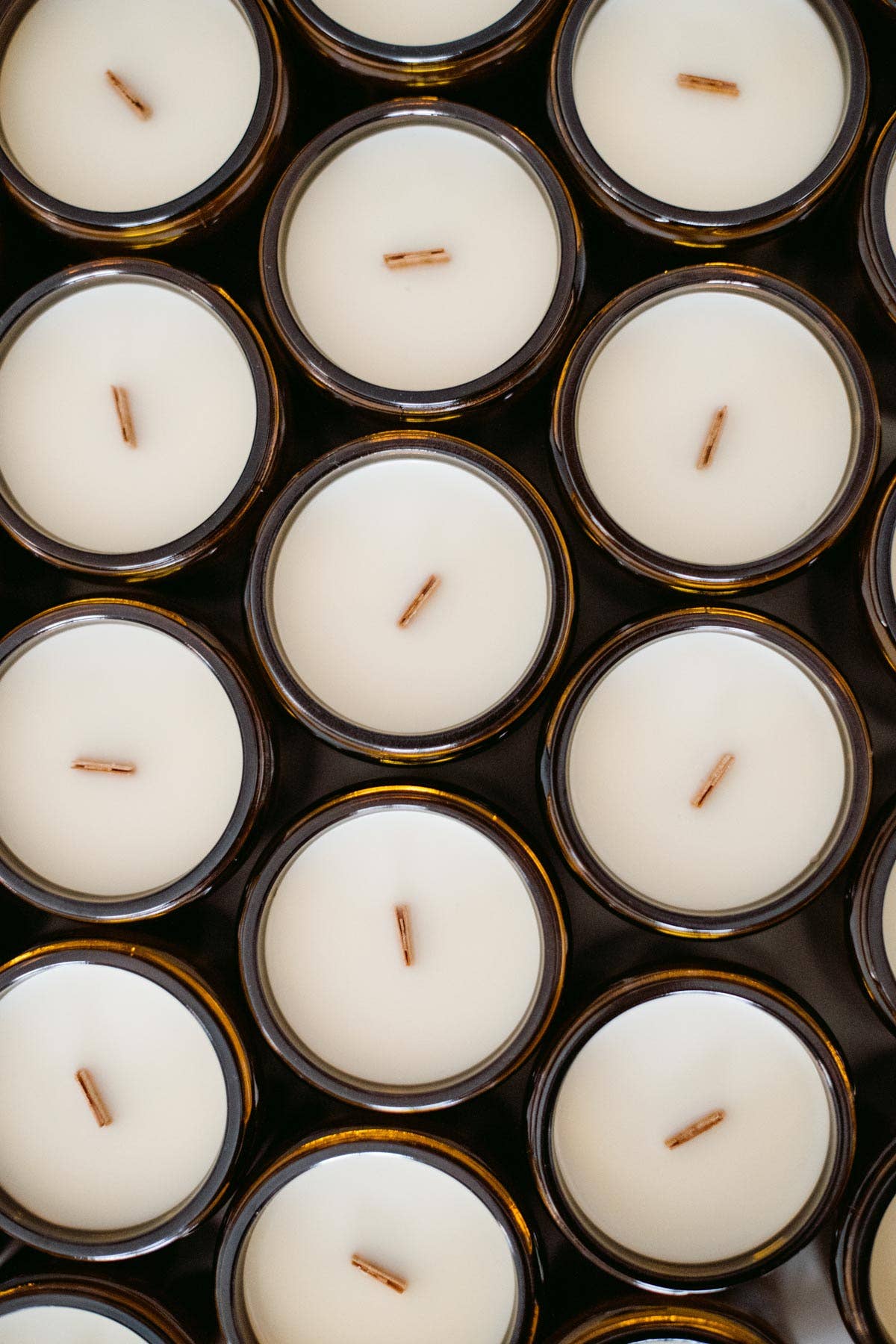 La Calathea - Wholesale Jar/Filled Candle - Candela July1