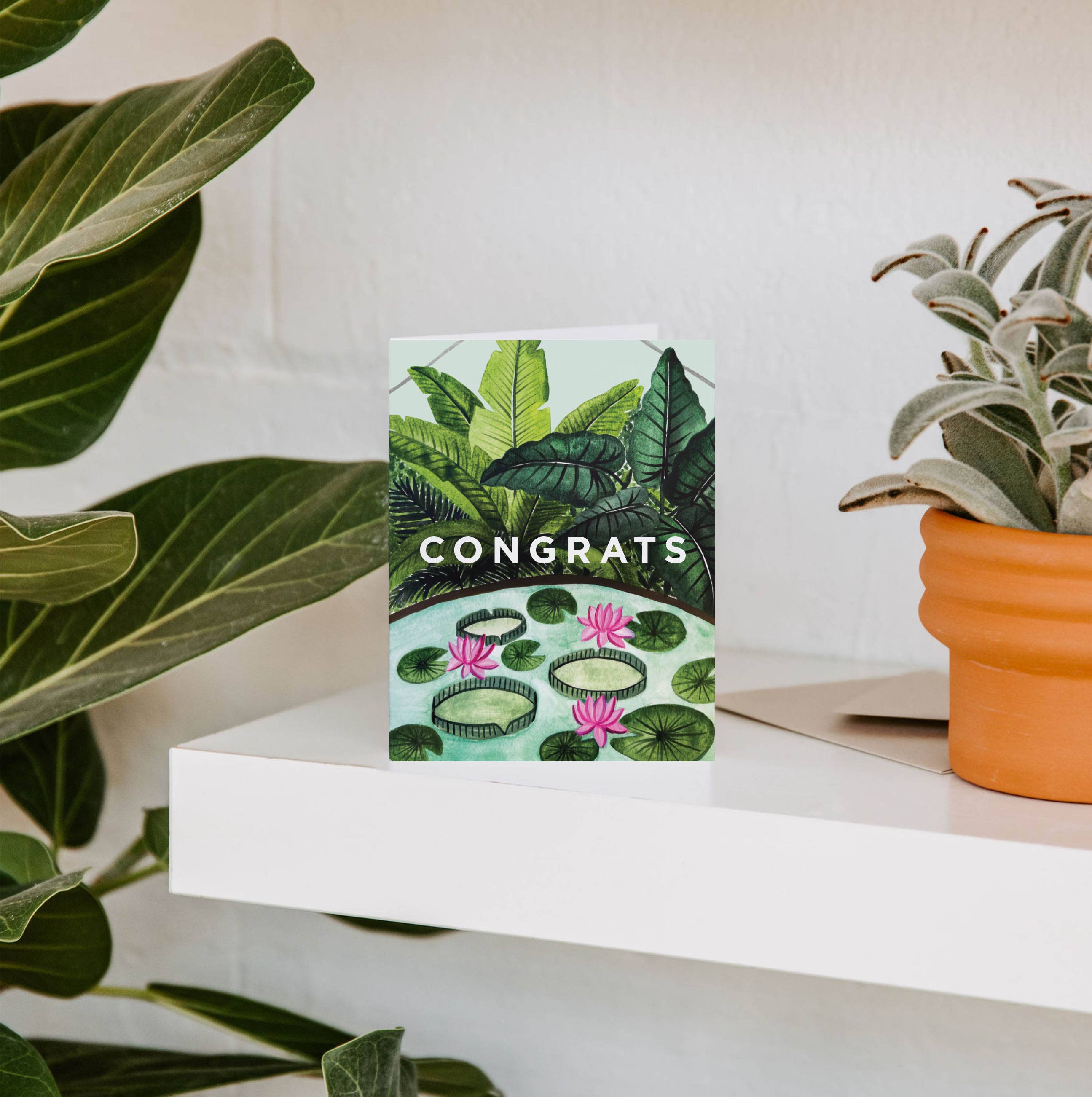 Paper Anchor Co. - Wholesale Congratulations Card - Congrats Conservatory Greeting Card | Congratulations1