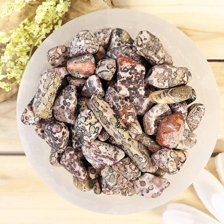1 lb Leopard Skin Tumbled Stones for wholesale by Natures Artifacts Inc