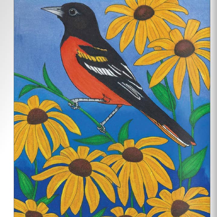 Wellspring – Großhandel Mal- & Aktivitätsbuch – Erwachsene – Malbuch - Vögel zu Hause4