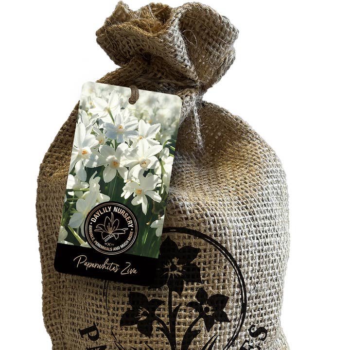 Let 'Em Bloom - Wholesale Plant Seeds - 20 Paperwhite in Custom Burlap Bag 0