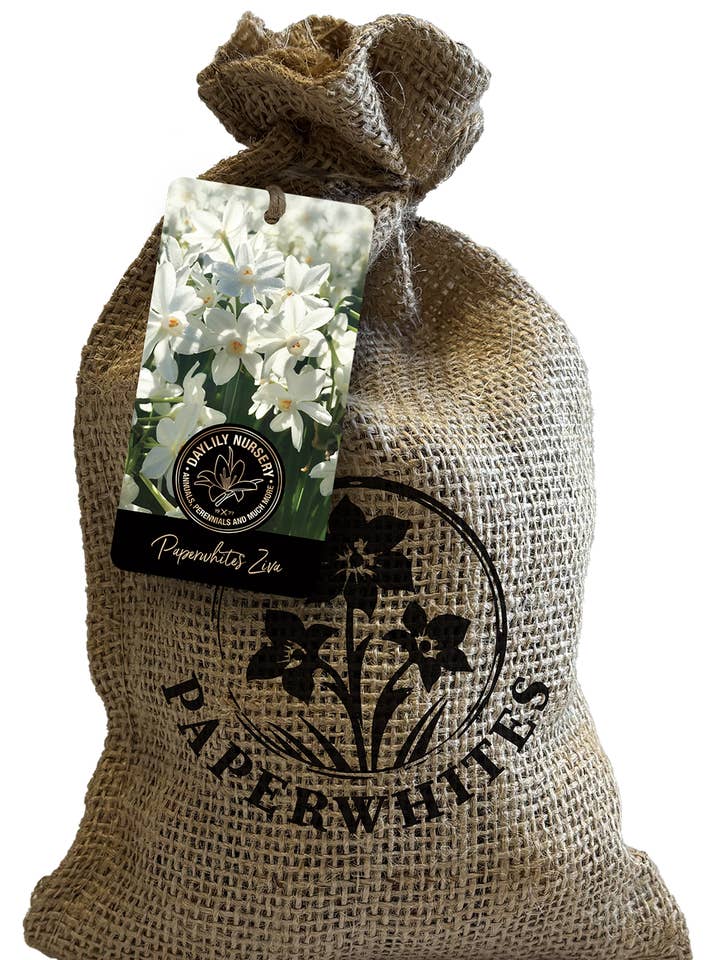 20 Paperwhite in Custom Burlap Bag  for wholesale by Let 'Em Bloom