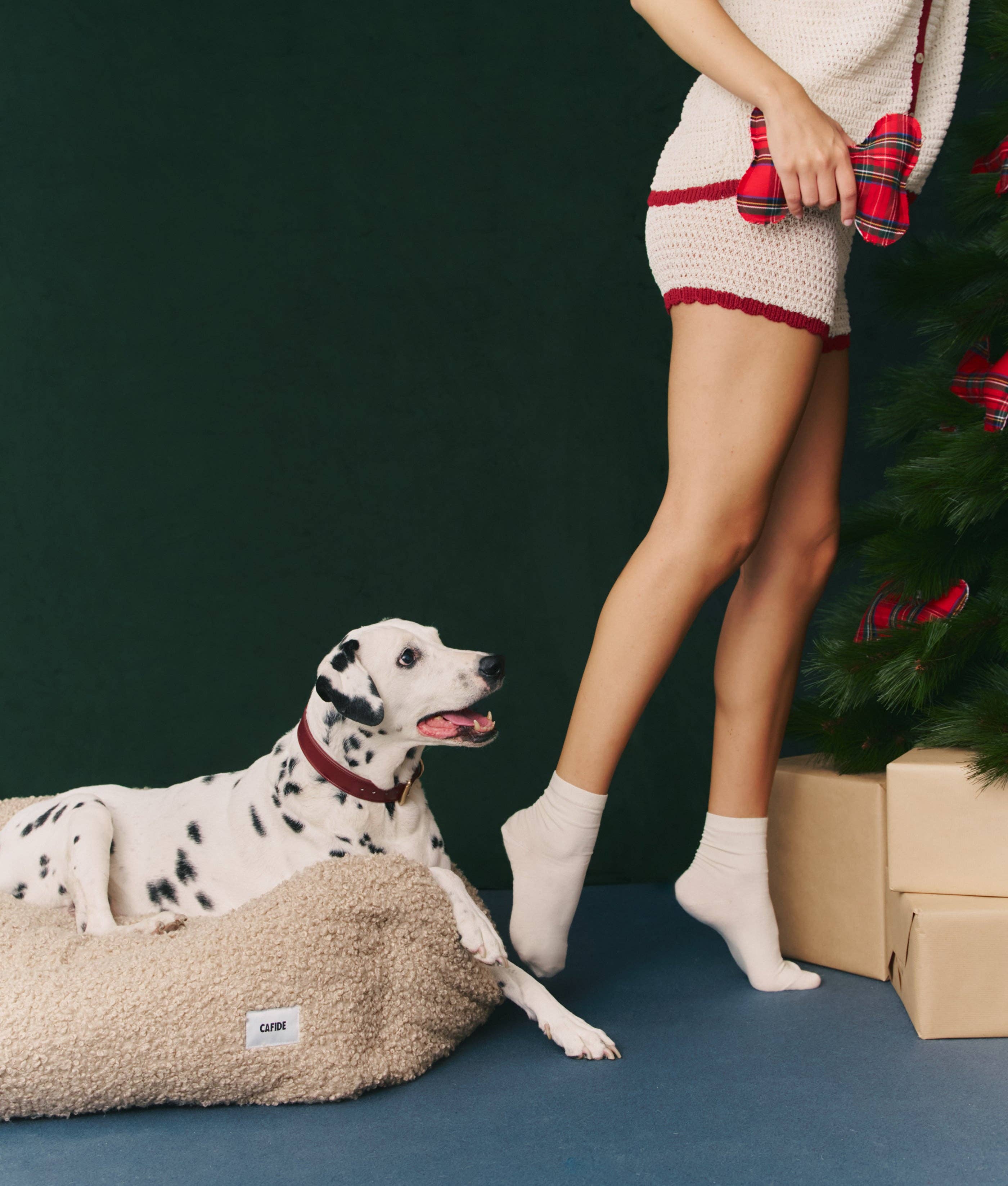 CAFIDE - Wholesale Pet Collar - Dog - Bordeaux Vegan Leather Collar, Jala3