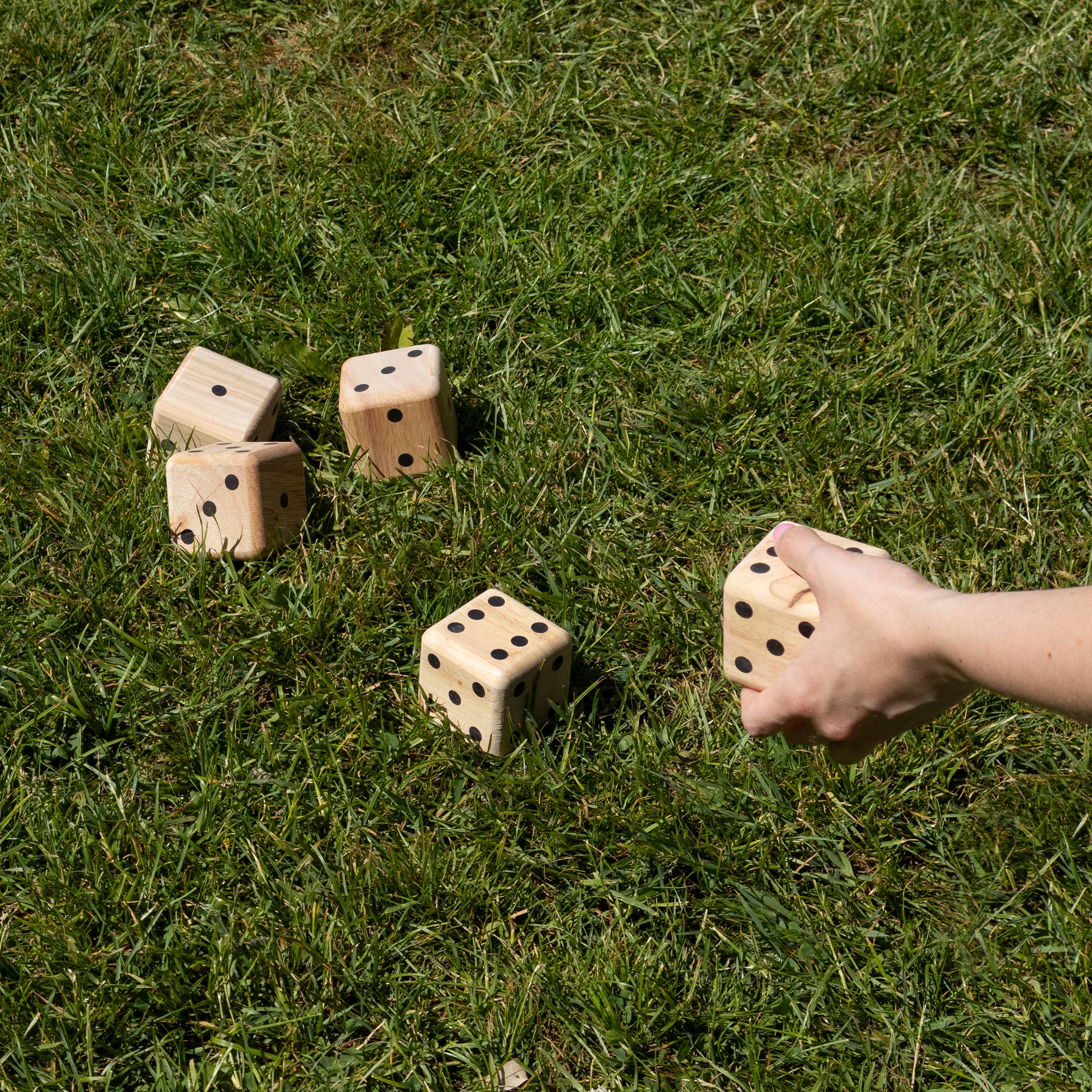 Robert Frederick Ltd - Wholesale Dice - Giant Dice Game - Flamingo Games3